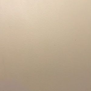 Meet your Posher, Demetrius